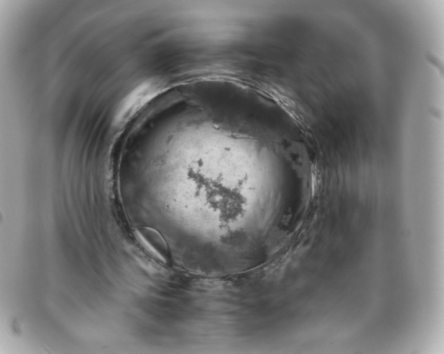 X0000096480339200802071925