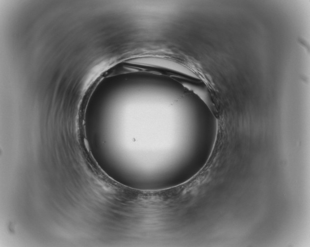 X0000096480340200802071925