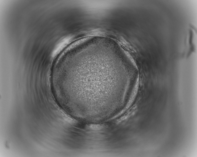 X0000096480341200802071925