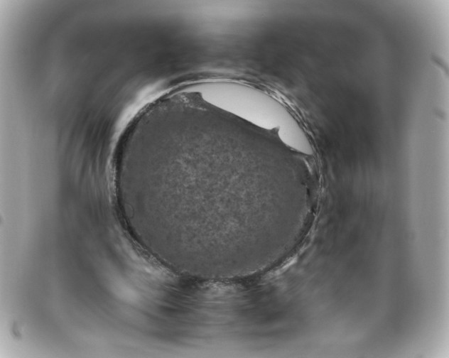 X0000096480343200802071925