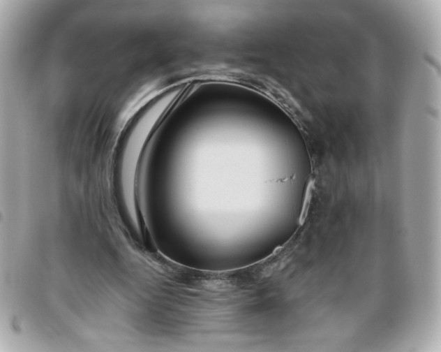 X0000096480344200802071925