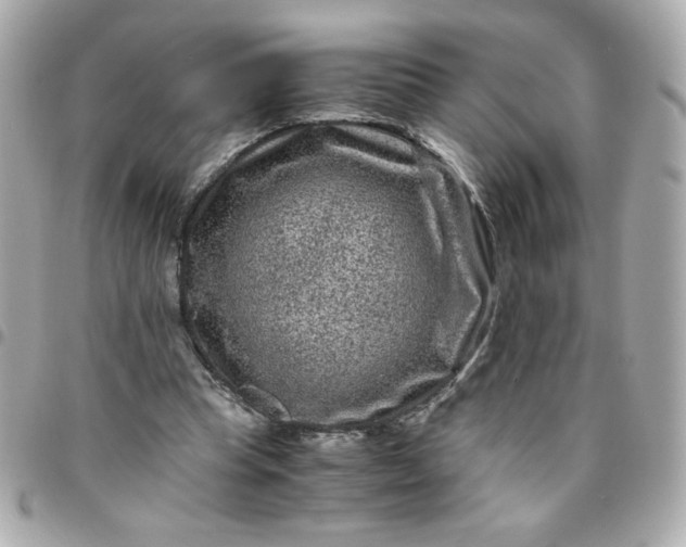 X0000096480345200802071925