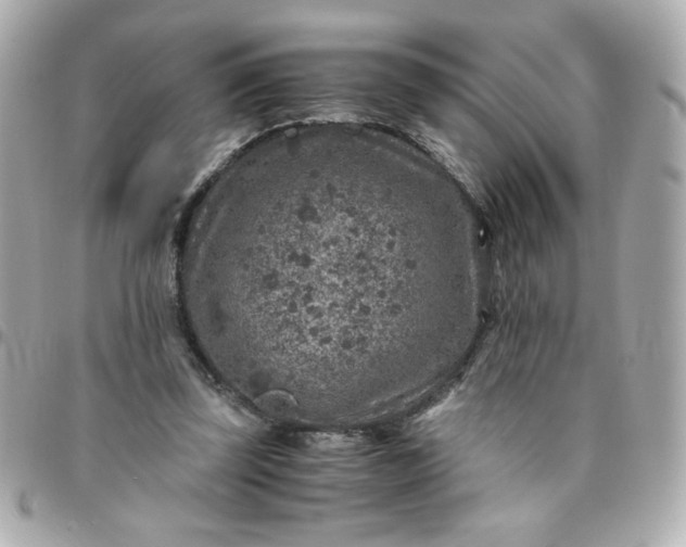 X0000096480347200802071925