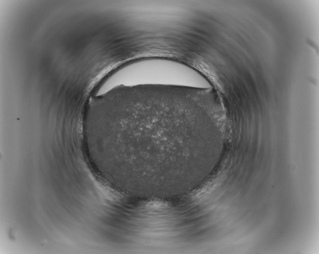 X0000096480348200802071925