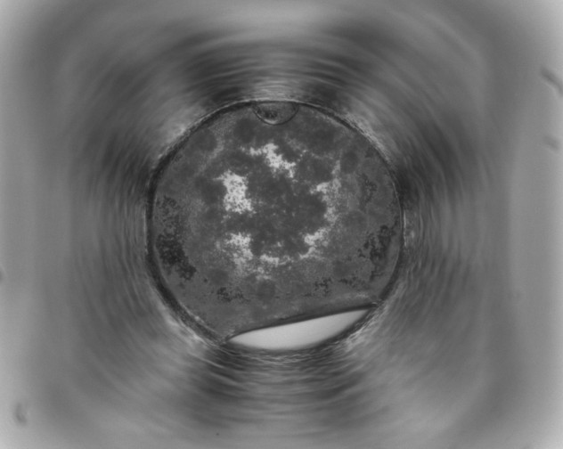 X0000096480349200802071925