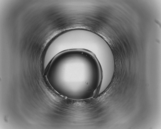 X0000096480350200802071925