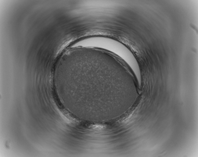 X0000096480352200802071925