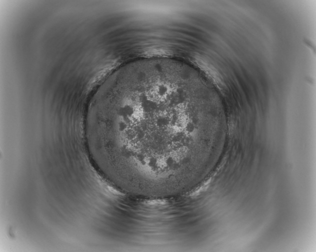 X0000096480353200802071925