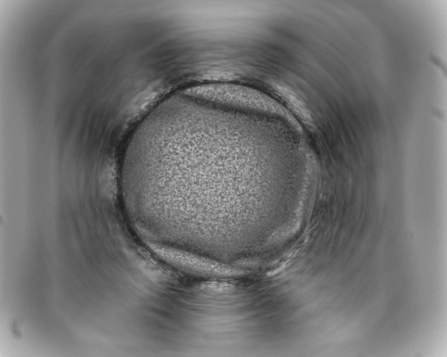 X0000096480354200802071925