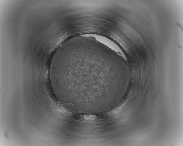 X0000096480355200802071925