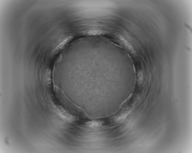 X0000096480356200802071925