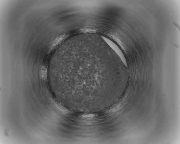 X0000096480357200802071925