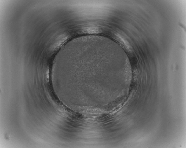 X0000096480358200802071925