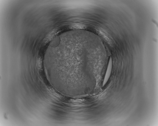 X0000096480359200802071925