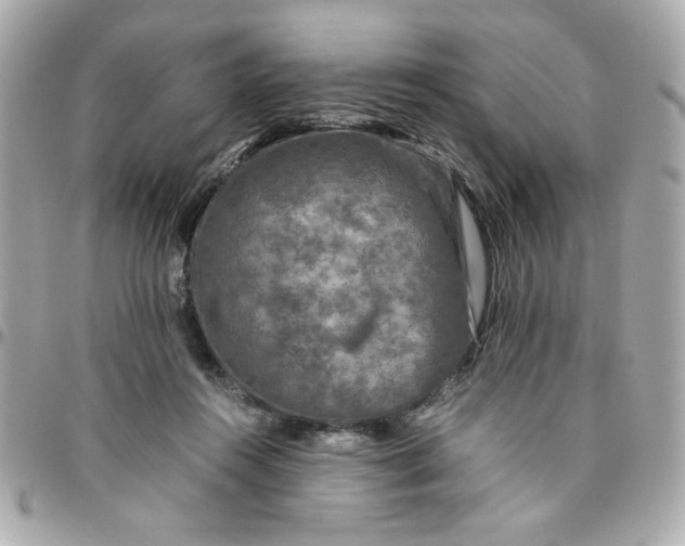 X0000096480360200802071925