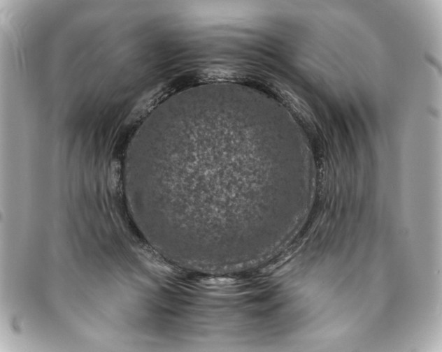 X0000096480361200802071925