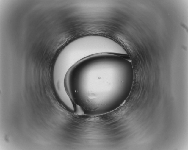 X0000096480362200802071925