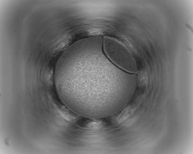 X0000096480364200802071925