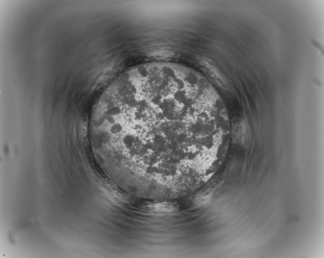 X0000096480365200802071925