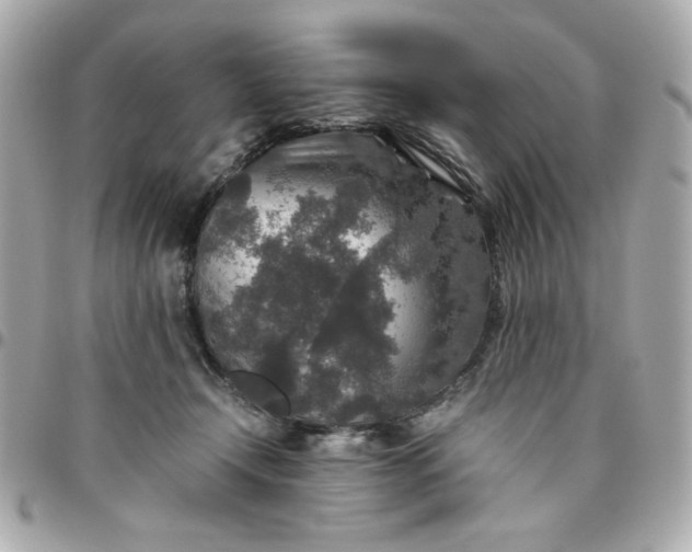 X0000096480366200802071925