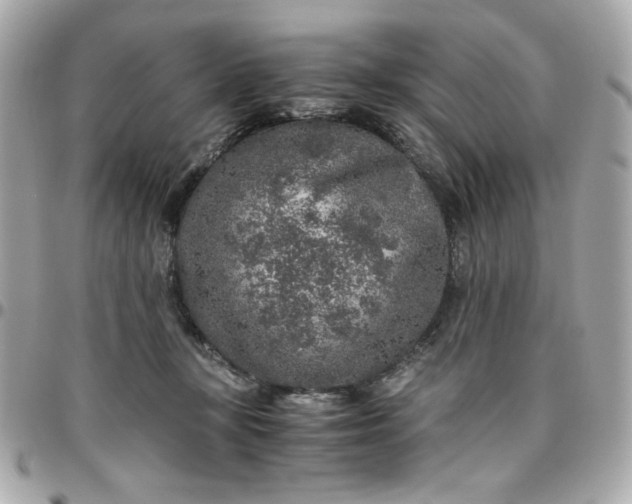 X0000096480367200802071925