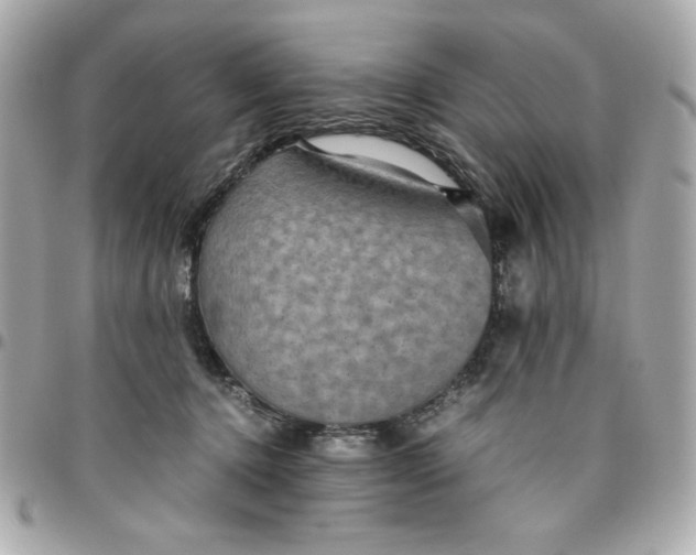 X0000096480368200802071925