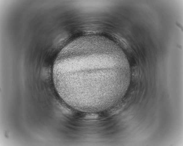 X0000096480369200802071925