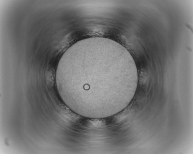 X0000096480370200802071925