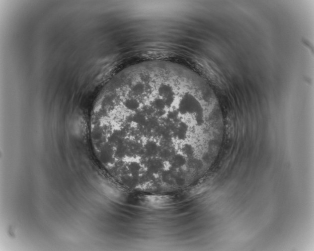 X0000096480371200802071925