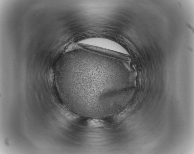 X0000096480372200802071925