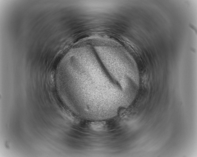 X0000096480373200802071925