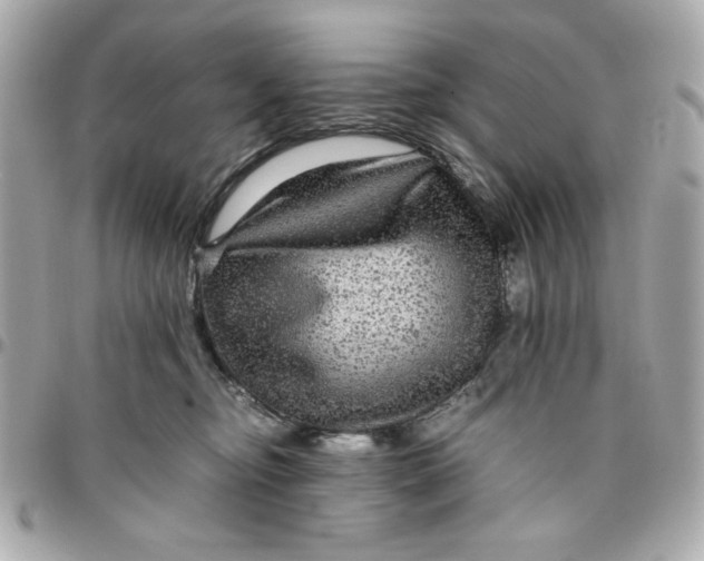 X0000096480374200802071925