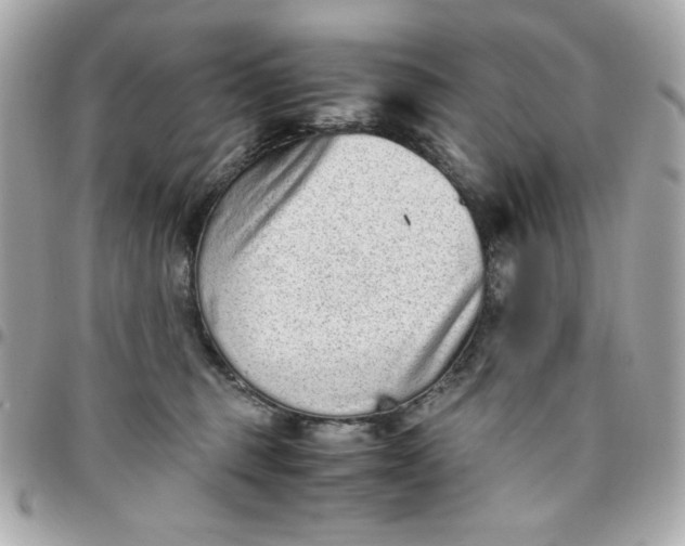 X0000096480375200802071925