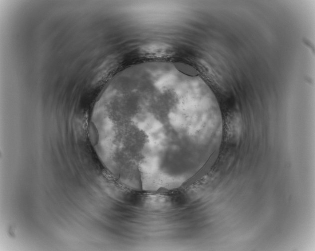 X0000096480376200802071925