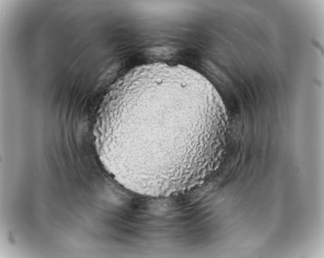 X0000096480377200802071925