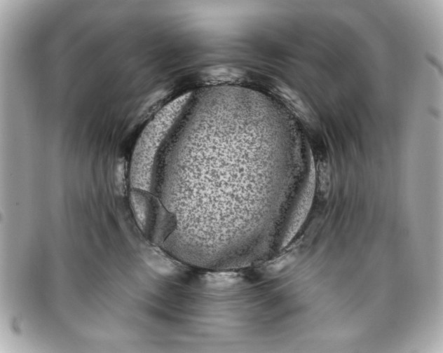 X0000096480378200802071925