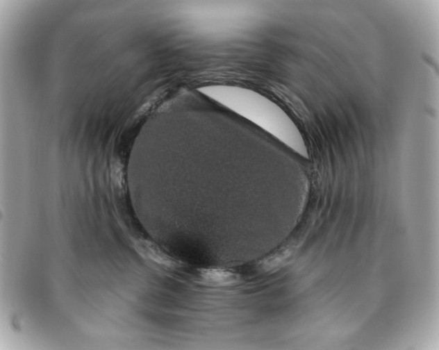 X0000096480380200802071925