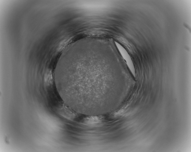 X0000096480381200802071925