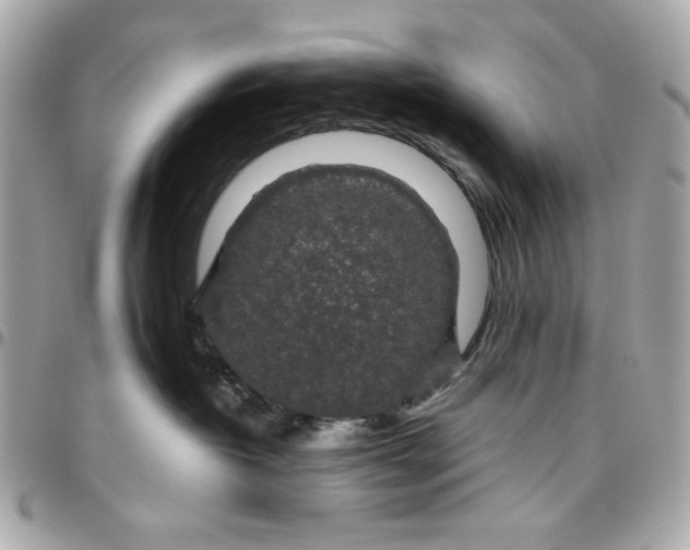 X0000096480382200802071925