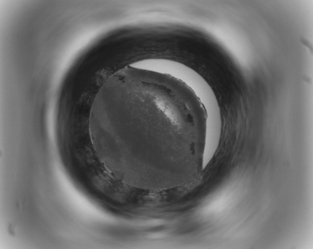 X0000096480383200802071925