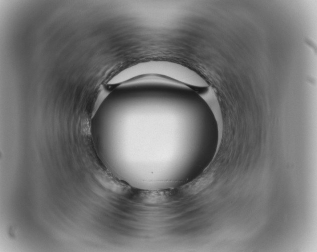 X0000096480384200802071925