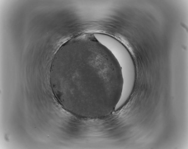 X0000096480385200802071925