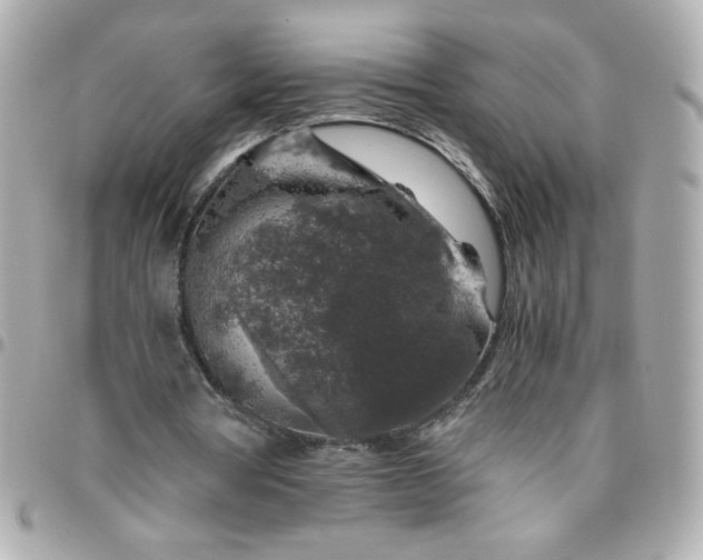 X0000096480386200802071925