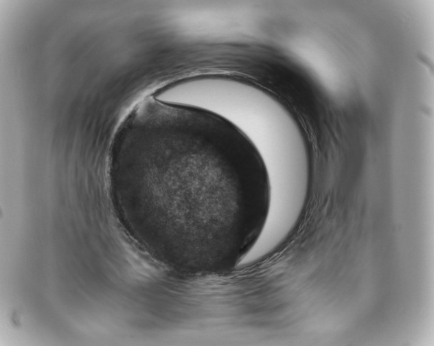 X0000096480387200802071925