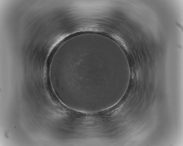 X0000096480388200802071925