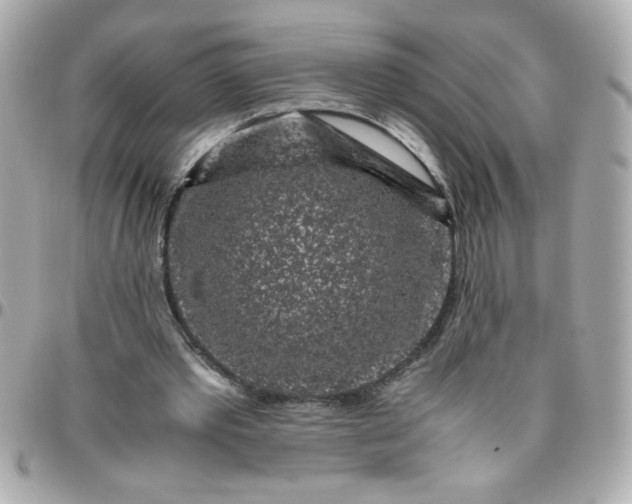 X0000096480389200802071925