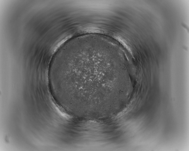 X0000096480390200802071925