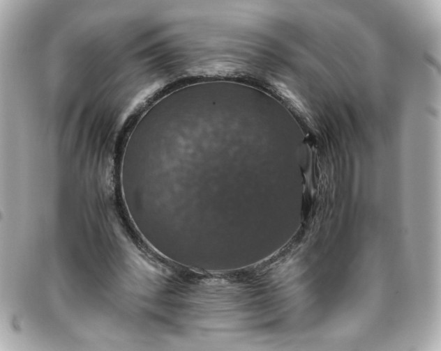 X0000096480392200802071925