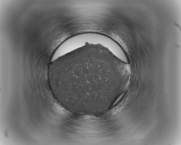 X0000096480393200802071925