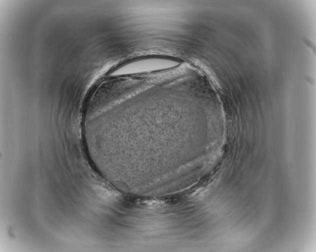 X0000096480395200802071924